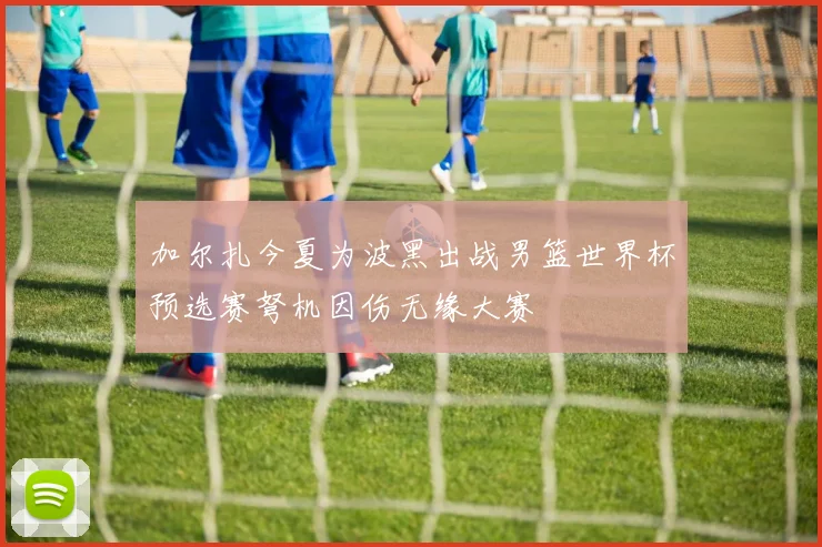 加尔扎今夏为波黑出战男篮世界杯预选赛弩机因伤无缘大赛