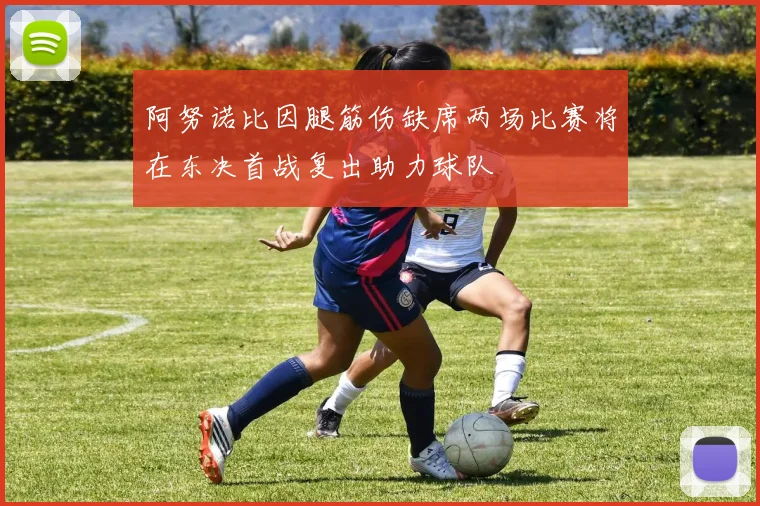 阿努诺比因腿筋伤缺席两场比赛将在东决首战复出助力球队